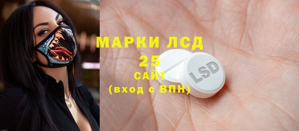 стаф Алзамай