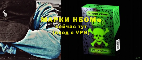 стаф Алзамай